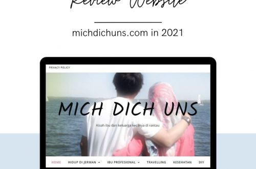 review website michdichuns 2021