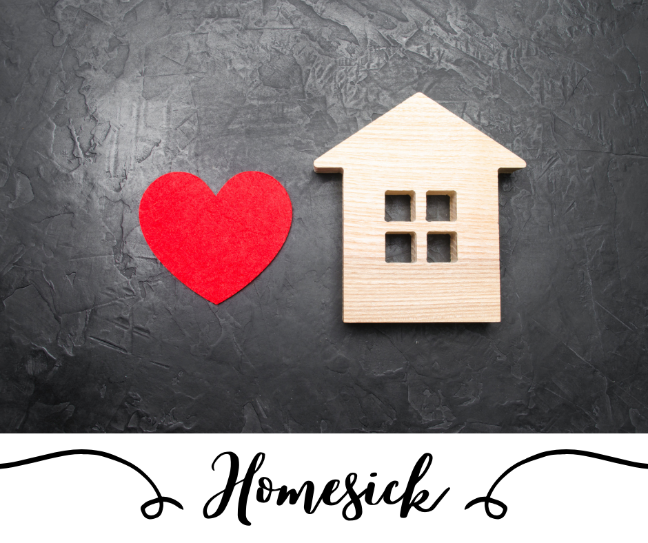 homesick, rindu keluarga, adalah salah satu penyakit perantau.